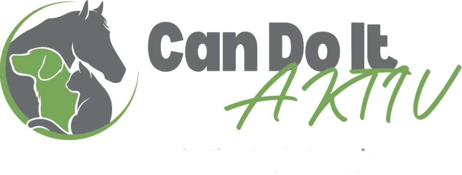 Can Do It AKTIV Logo