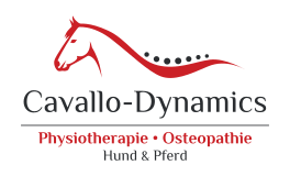 Cavallo-Dynamics - Lukas Henneböhl Logo
