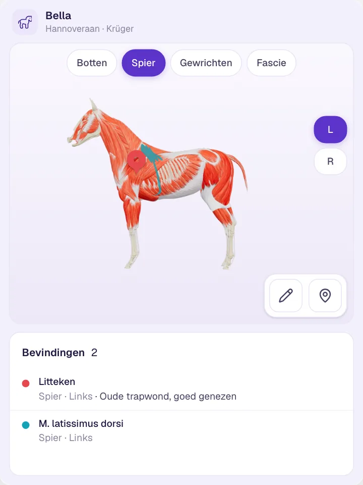 Individuele markeringen aanbrengen