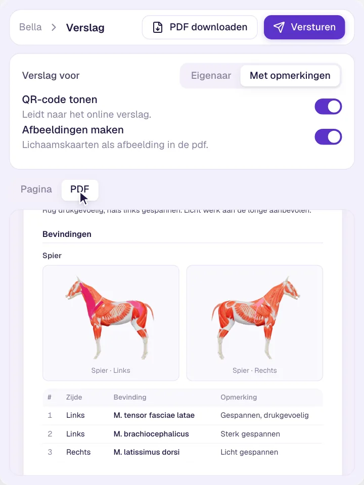 Rapportage als PDF-rapport