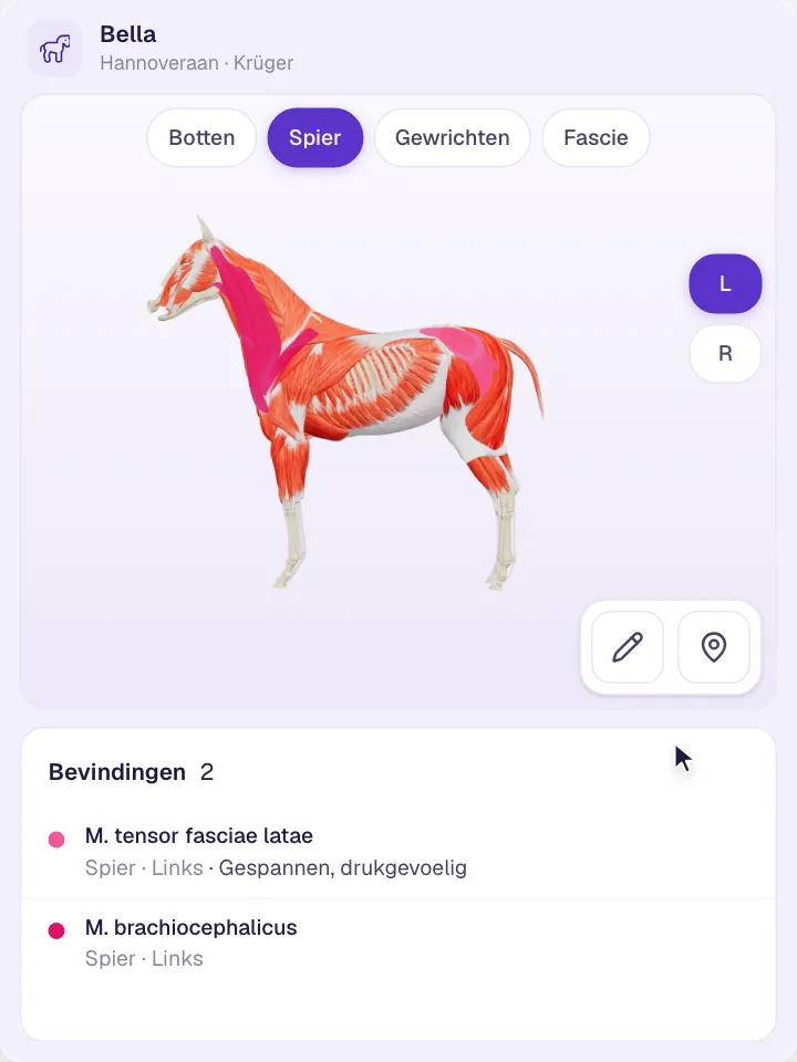 Visuele beoordeling