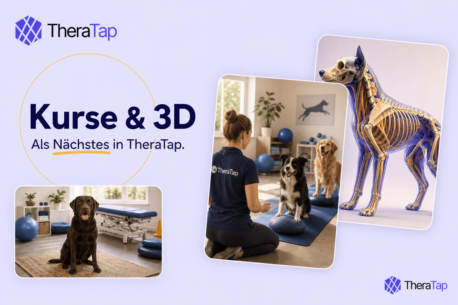 Binnenkort in TheraTap: cursussen en 3D-modellen