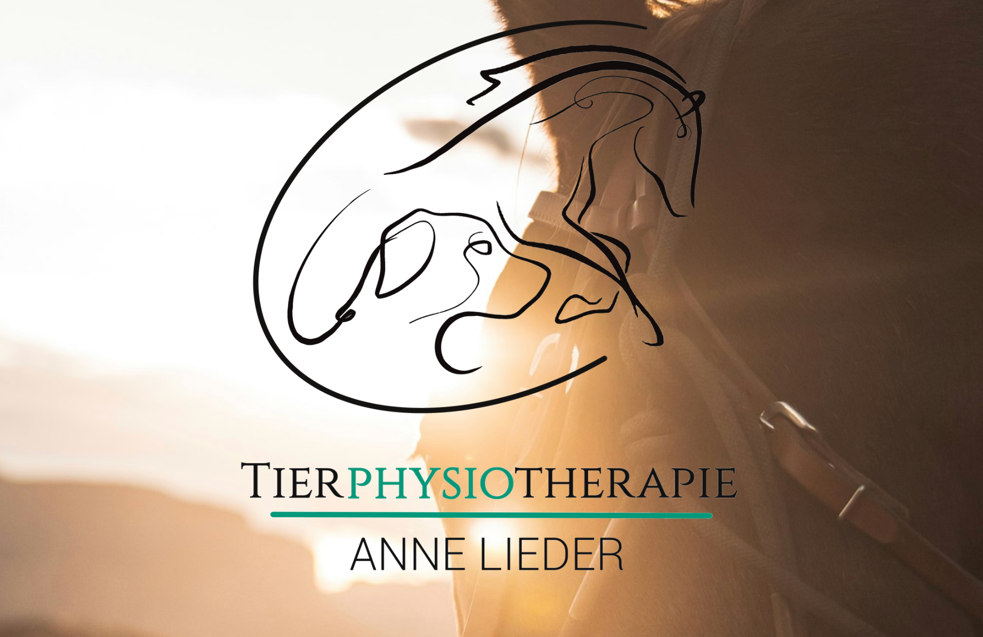 Tierphysiotherapie Anne Lieder Logo