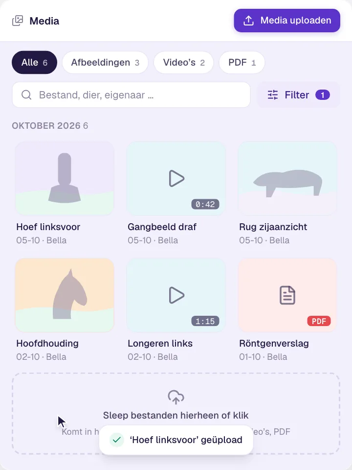 Beheer van afbeeldingen, video's en documenten