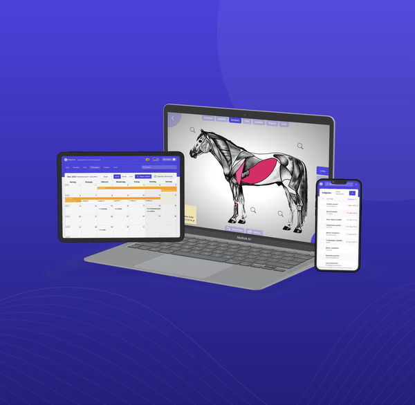 Optimale ondersteuning voor mobiele therapeuten
