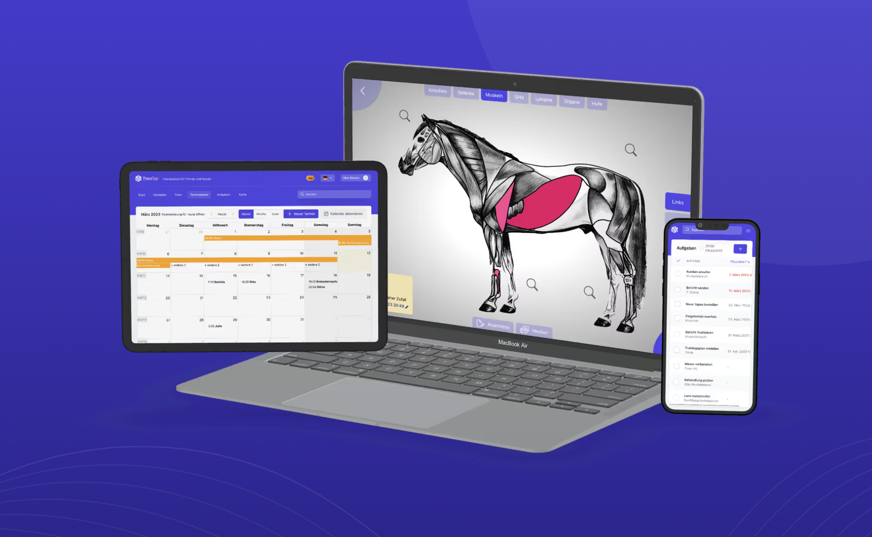 TheraTap mobiele praktijksoftware