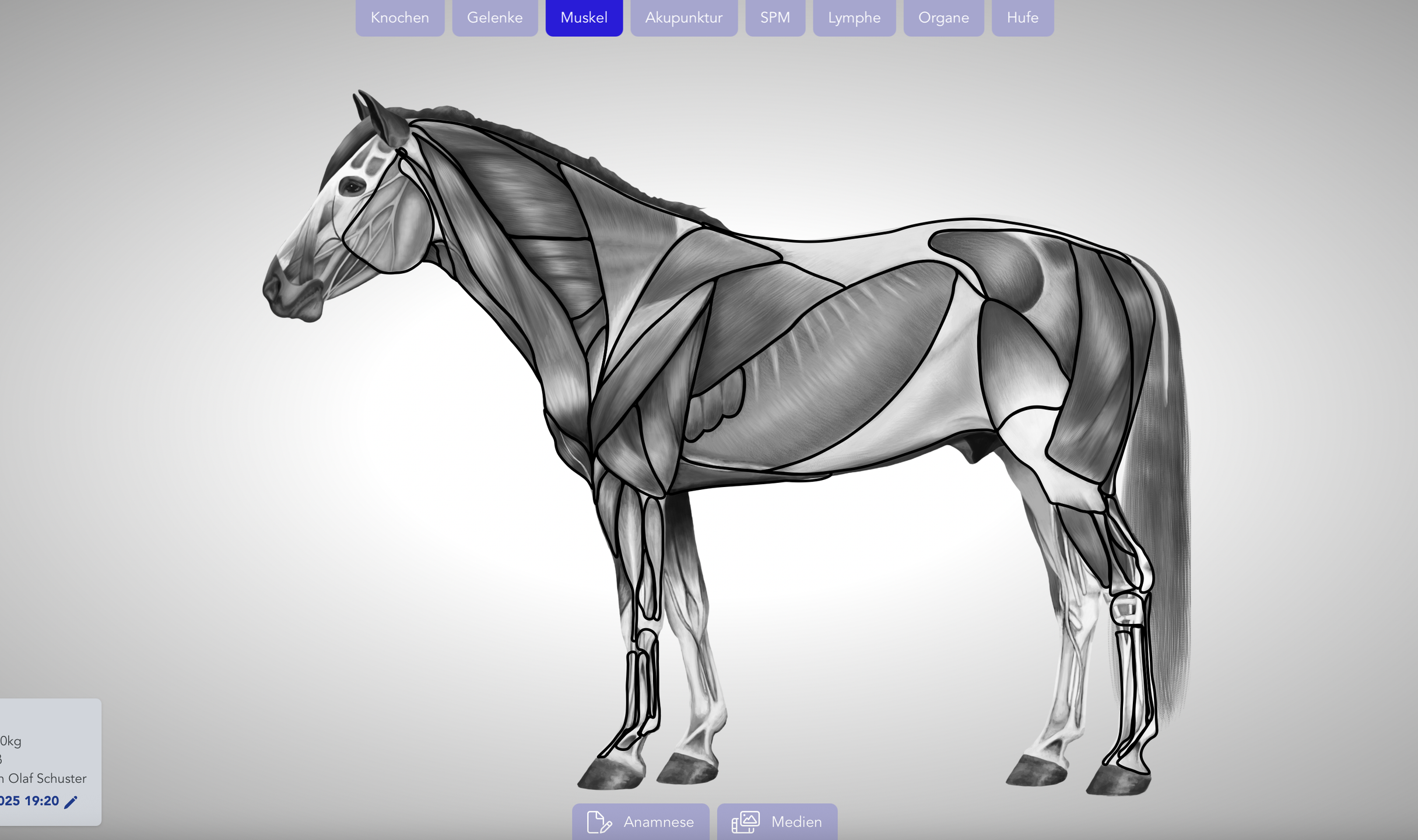 TheraTap oefensoftware voor dierentherapeuten:innen