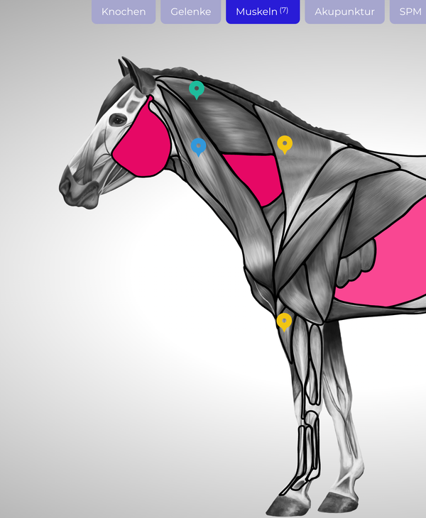 Individuele markeringen aanbrengen