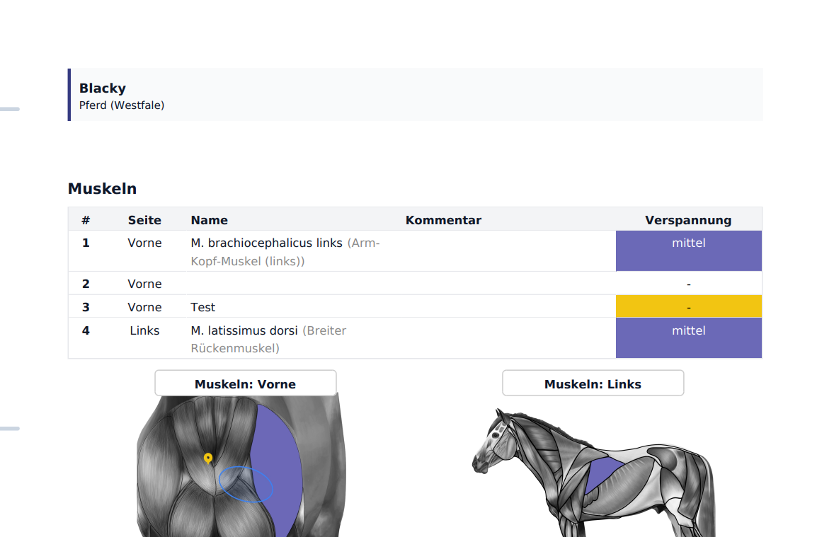 TheraTap oefensoftware voor dierentherapeuten:innen