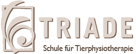 Triade Logo